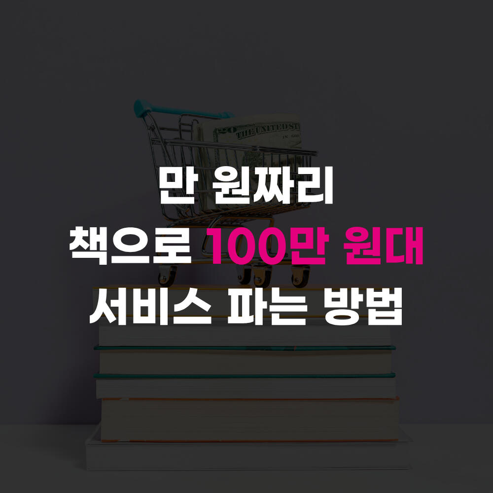 🔒 만 원짜리 책으로 100만 원 대 서비스 파는 법
